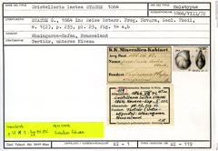 Karteikarte zum Holotyp von Cristellaria lactea Stache, 1864